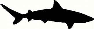 Water (5) vinyl decal